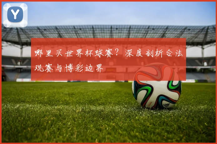 哪里买世界杯球赛？深度剖析合法观赛与博彩边界